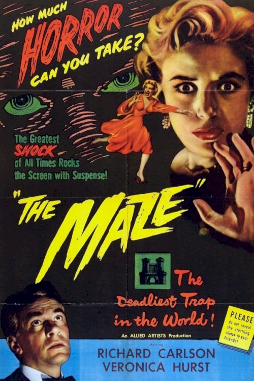 The Maze The Maze