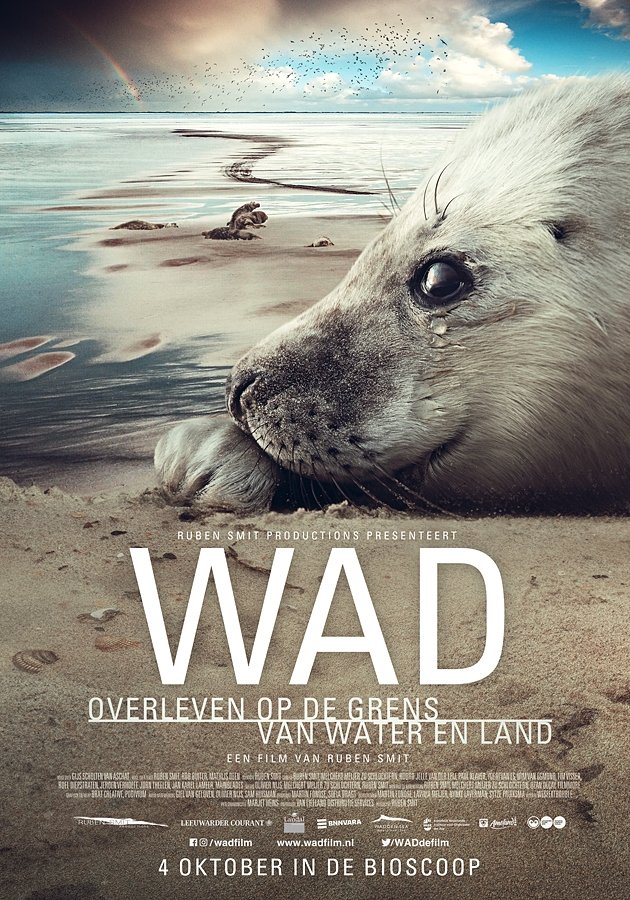 Wad: surviving on the border of water and land Wad: surviving on the border of water and land