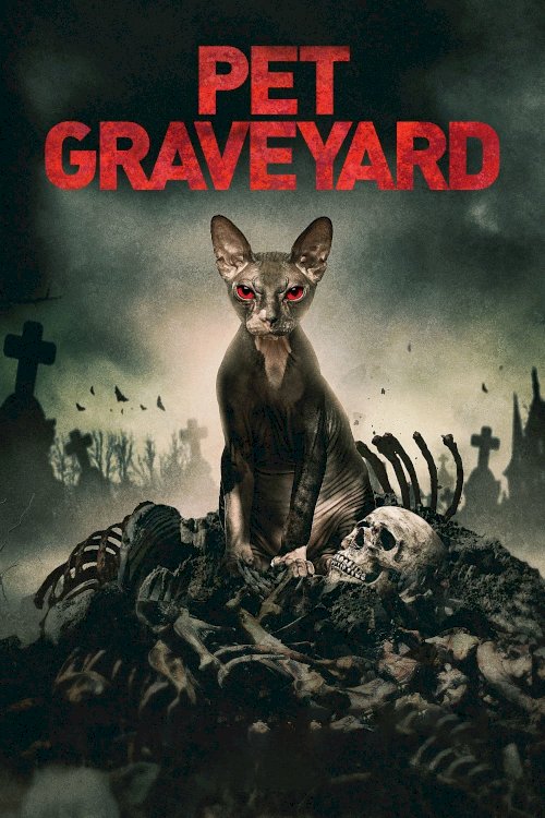 Pet Graveyard Pet Graveyard