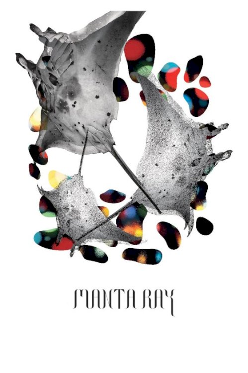 Manta Ray Manta Ray