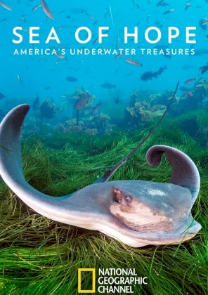 Sea of Hope: America's Underwater Treasures Sea of Hope: America's Underwater Treasures