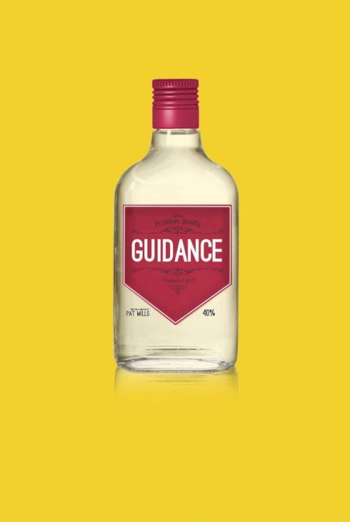 Guidance Guidance