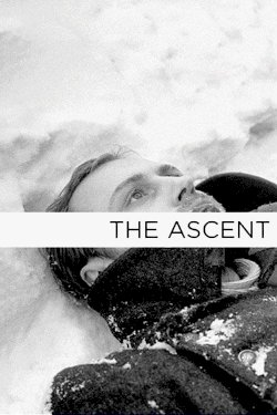 The Ascent The Ascent