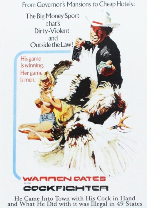 Cockfighter Cockfighter