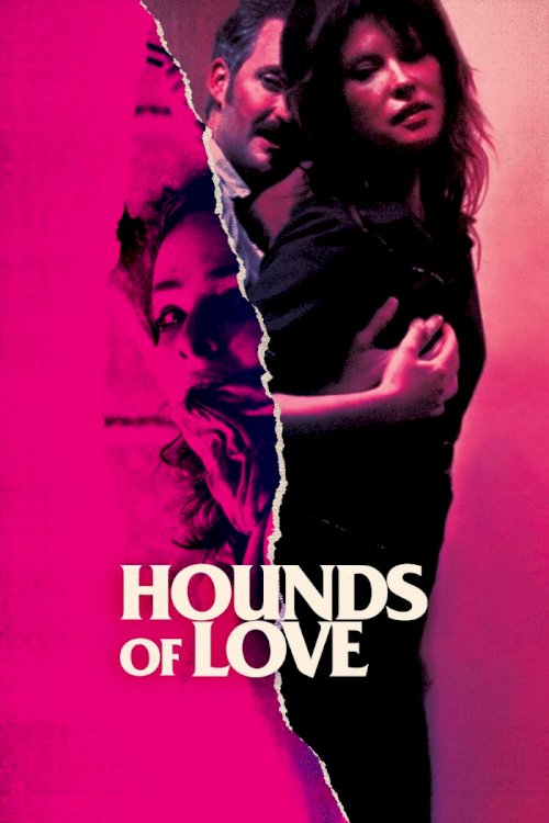 Hounds of Love Hounds of Love