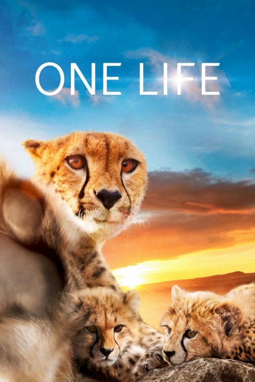 One Life One Life