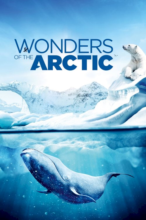 Wonders of the Arctic Wonders of the Arctic