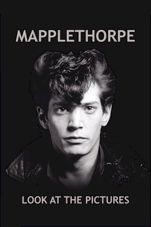Mapplethorpe: Look at the Pictures Mapplethorpe: Look at the Pictures