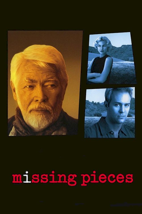 Missing Pieces Missing Pieces