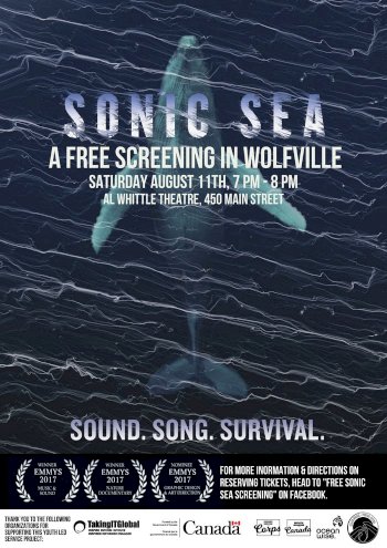Sonic Sea Sonic Sea