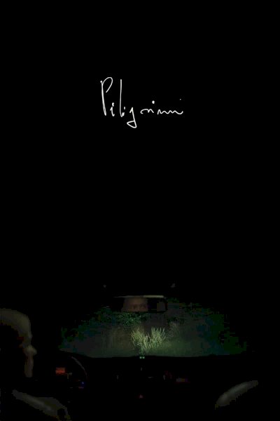 Pilgrims Pilgrims