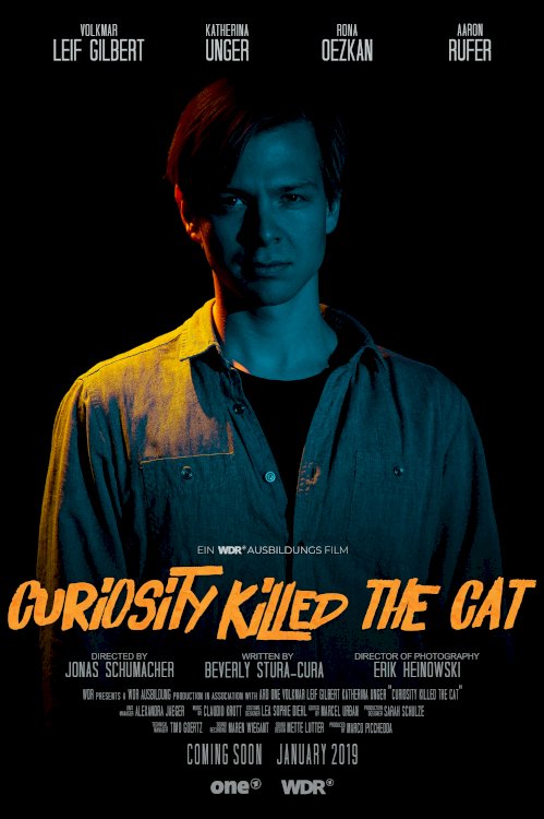 Curiosity Killed the Cat: Misfit