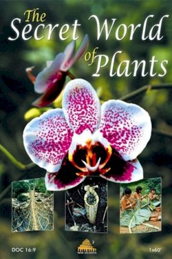 The Secret World of Plants The Secret World of Plants