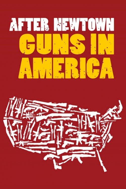 After Newtown: Guns in America After Newtown: Guns in America