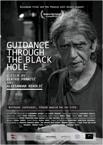 Guidance Through the Black Hole Guidance Through the Black Hole