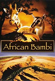 African Bambi African Bambi