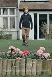 Carnation Carnation