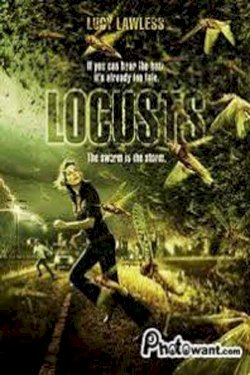 Locusts Locusts