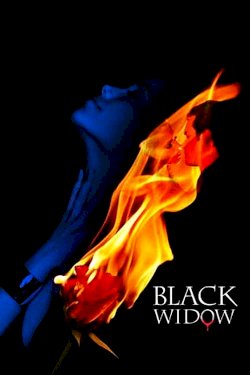 Black Widow Black Widow