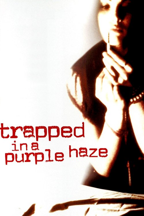Trapped in a Purple Haze Trapped in a Purple Haze