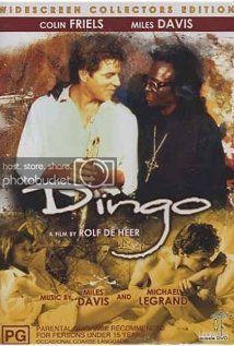 Dingo Dingo