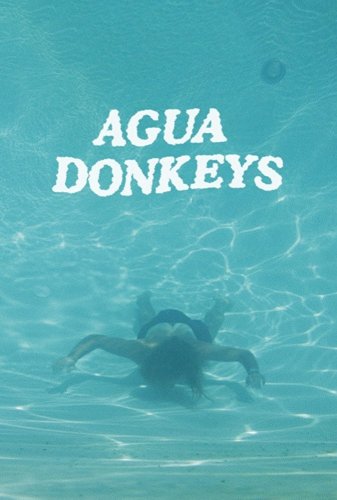 Agua Donkeys Agua Donkeys