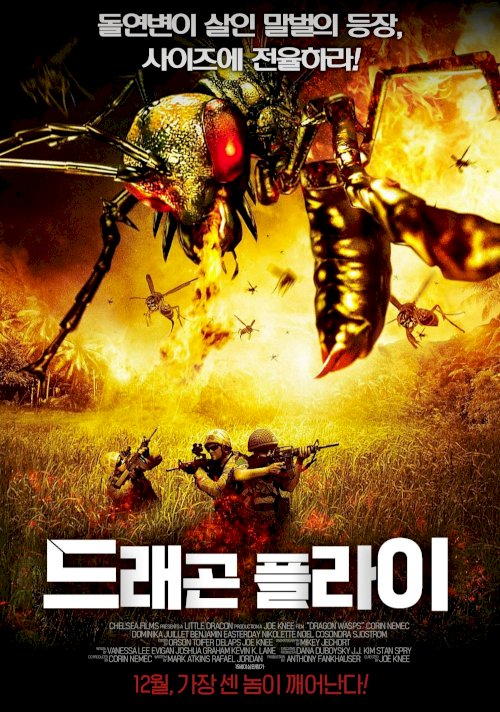 Dragon Wasps Dragon Wasps