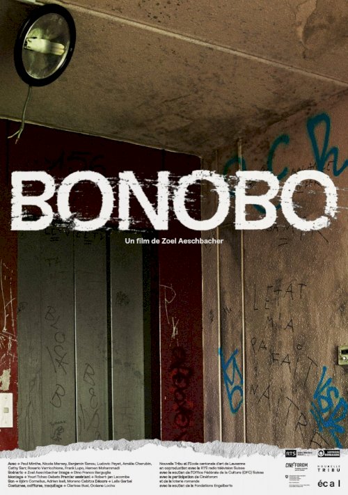 Bonobo Bonobo