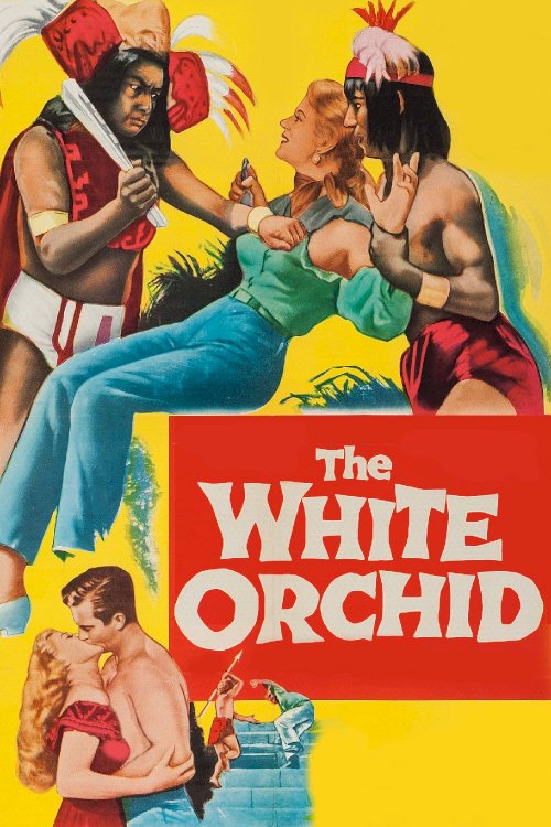 The White Orchid The White Orchid