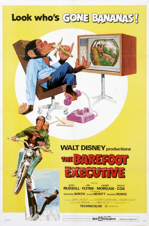 The Barefoot Executive The Barefoot Executive