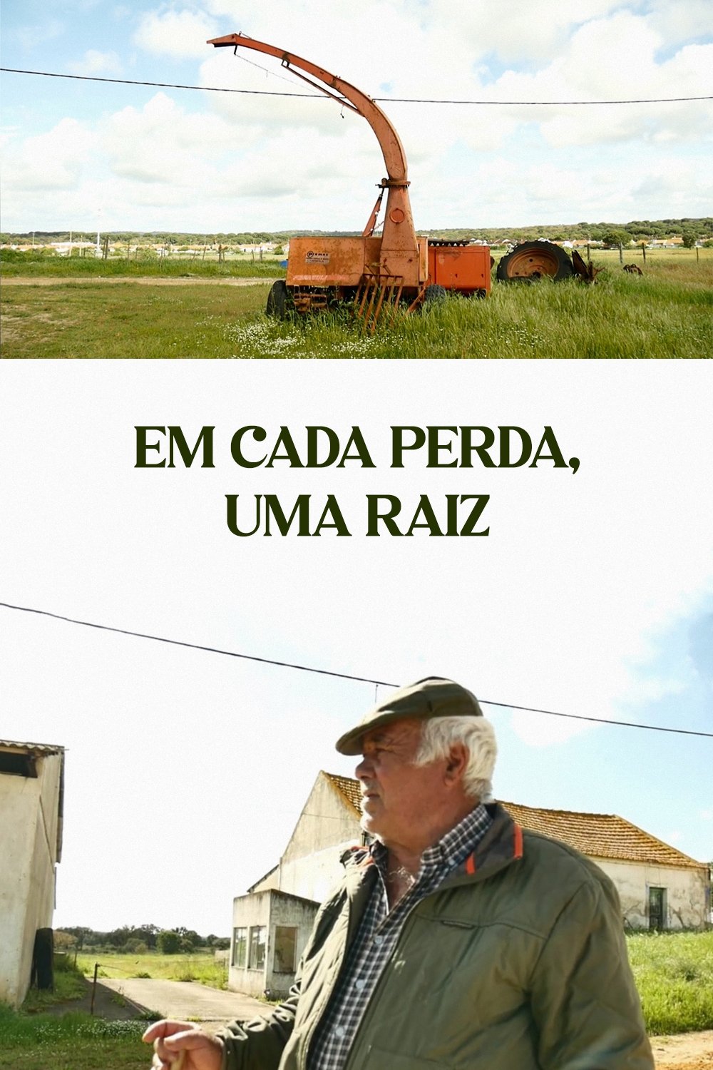 Em cada Perda, Uma Raíz Em cada Perda, Uma Raíz