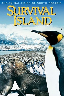 Survival Island Survival Island