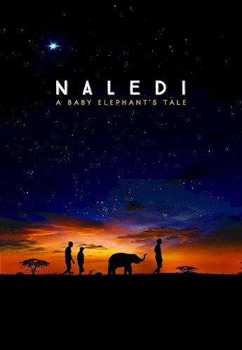 Naledi: A Baby Elephant's Tale