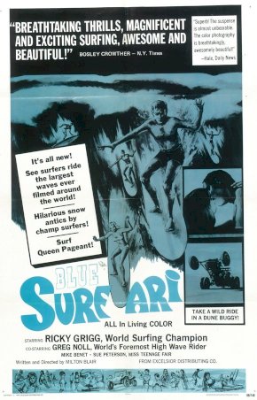 Surfari Surfari