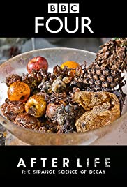 After Life: The Strange Science of Decay After Life: The Strange Science of Decay