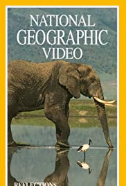 Reflections on Elephants