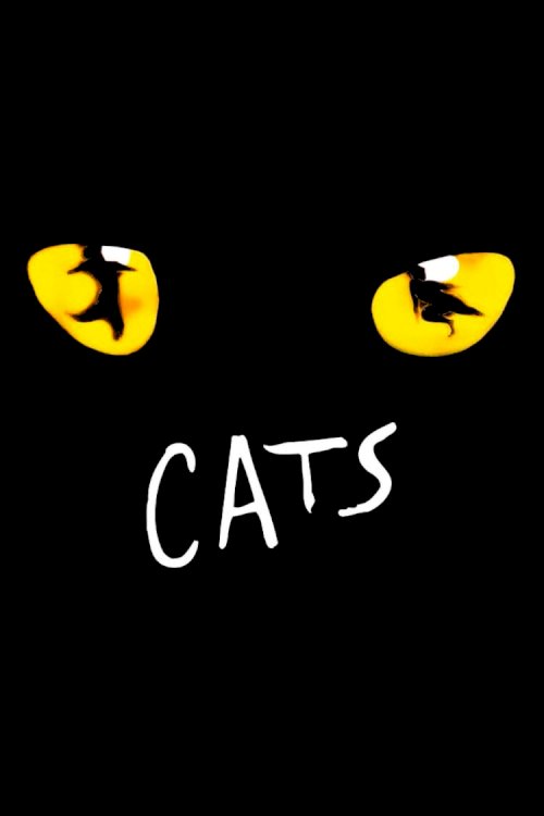 Cats Cats