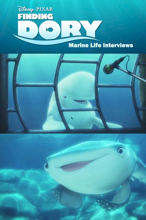 Marine Life Interviews Marine Life Interviews
