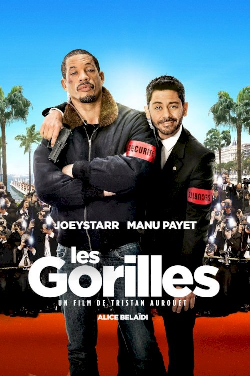 Les Gorilles Les Gorilles