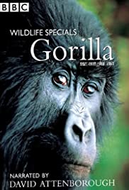 Gorilla Revisited with David Attenborough Gorilla Revisited with David Attenborough