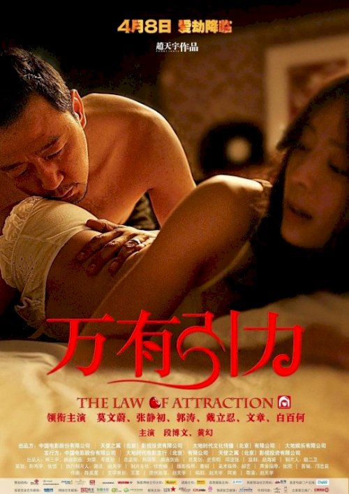 The Law Of Attraction The Law Of Attraction