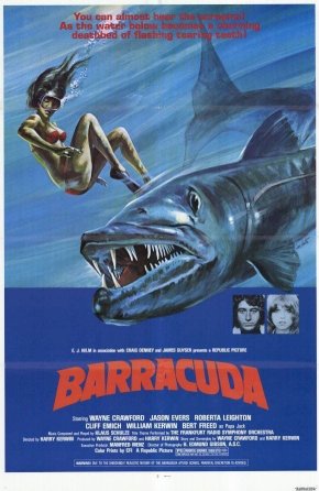 Barracuda Barracuda