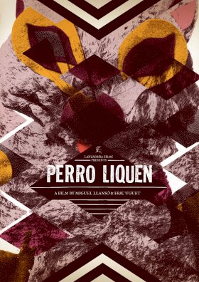 Perro Liquen Perro Liquen