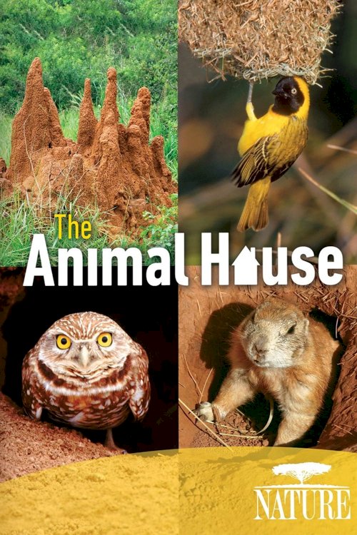 The Animal House The Animal House