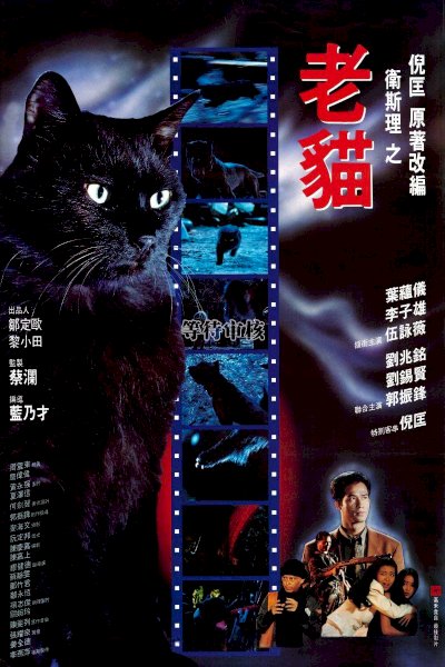 The Cat The Cat