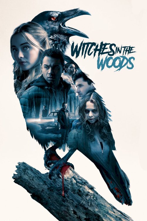 Witches in the Woods Witches in the Woods