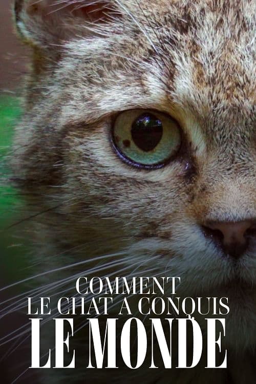 Comment le chat a conquis le monde Comment le chat a conquis le monde