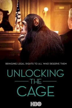 Unlocking the Cage Unlocking the Cage
