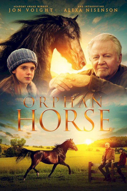 Orphan Horse Orphan Horse
