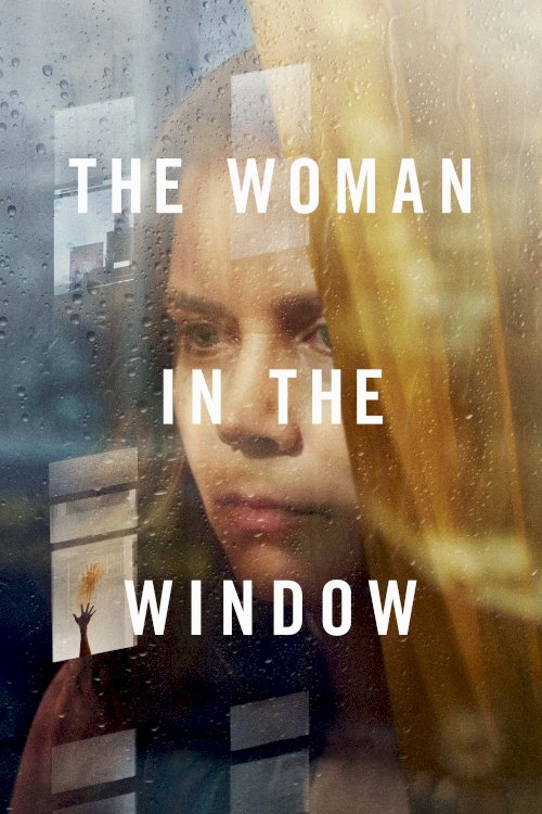 The Woman in the Window The Woman in the Window